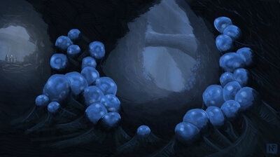 2021-09-13_EggCave.small