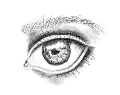 2021-02-13_CopyofS2-eyedigital.small