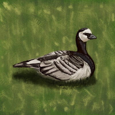 2021-05-12_Vaaaaak.small