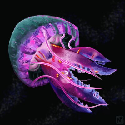 2021-08-09_Jellyfish.png.small